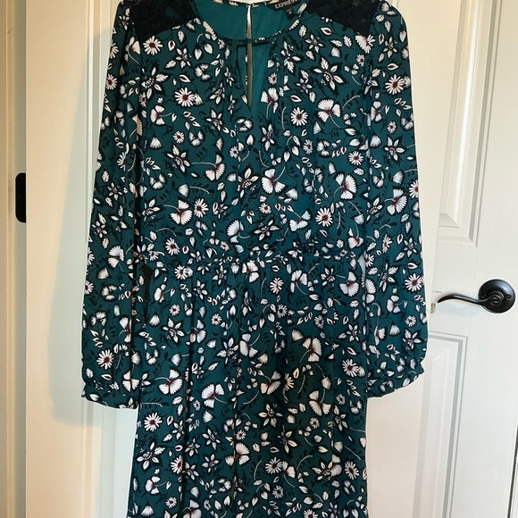 Express Greeb Floral Long-Sleeve Dress - Picture 1 of 6